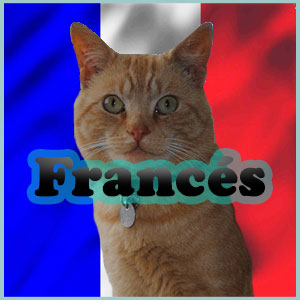 Nombres para Gatos en Francés