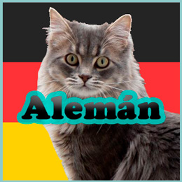Nombres en Alemán para gatos 🐱